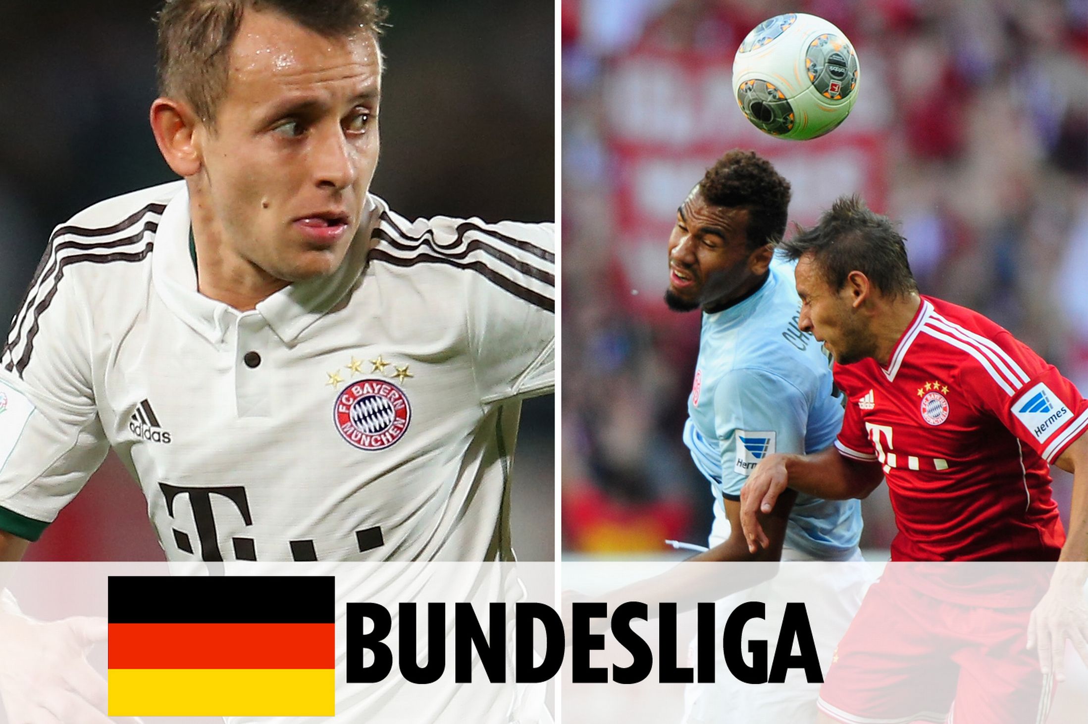 从一开始便 从一开始便